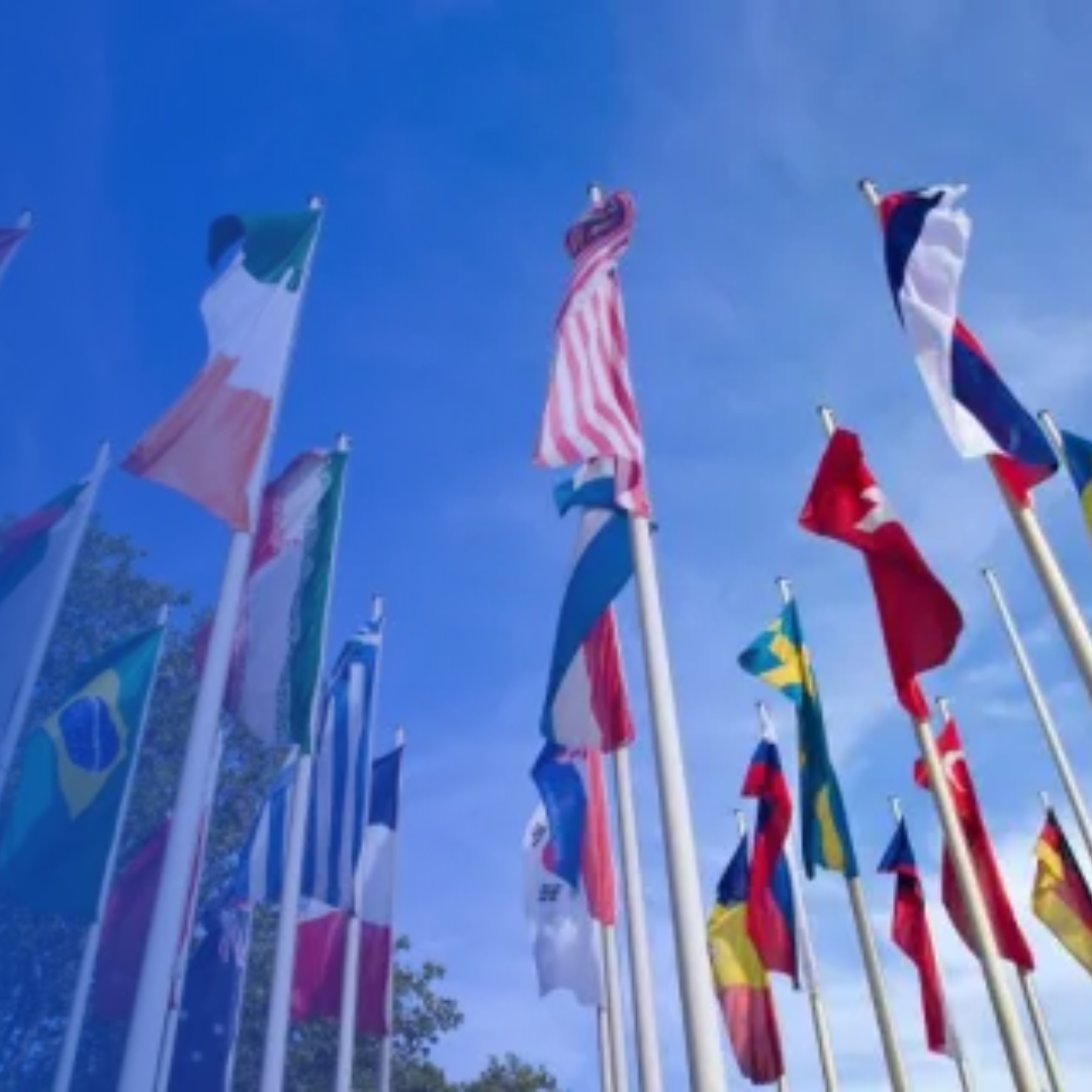 Ferias internacionales FECAN