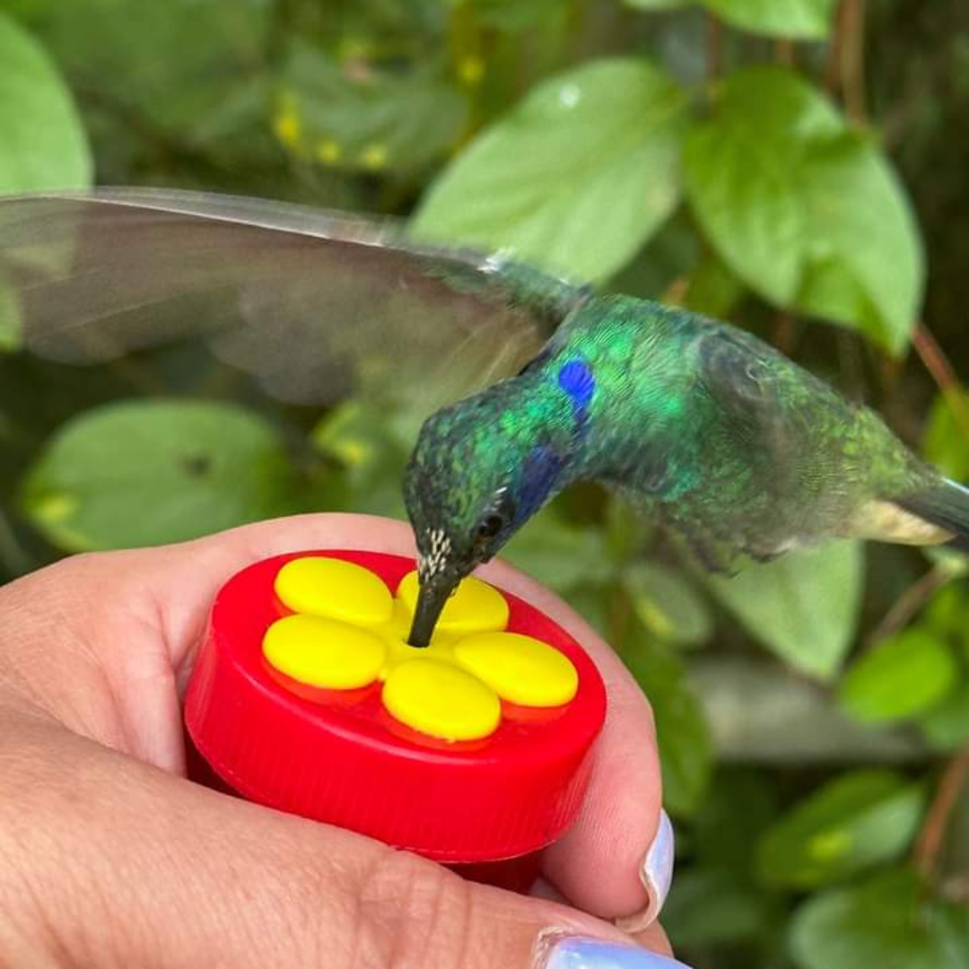 FECAN en Casa del Colibrí Ángel del Sol con Programa Conéctate con el Valle