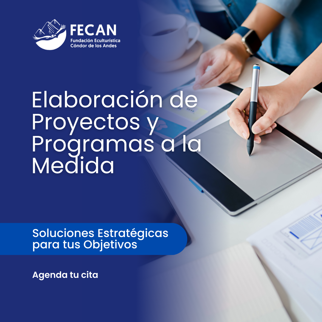 elaboración de proyectos