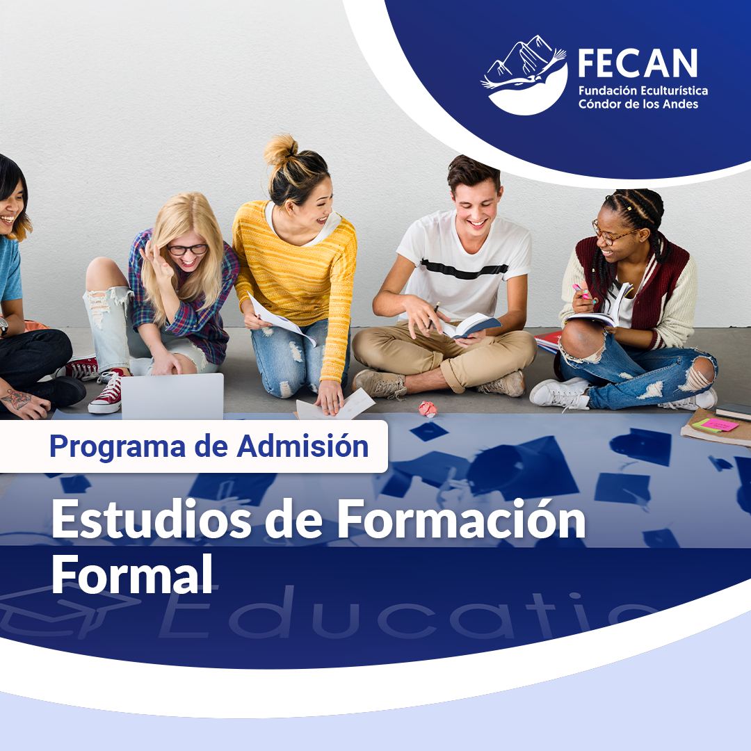 PE- FORMACIÓN FORMAL