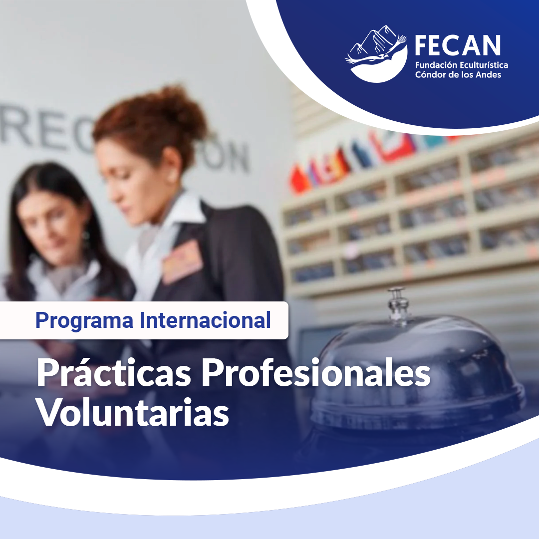 PI- PRÁCTICAS PROFESIONALES V