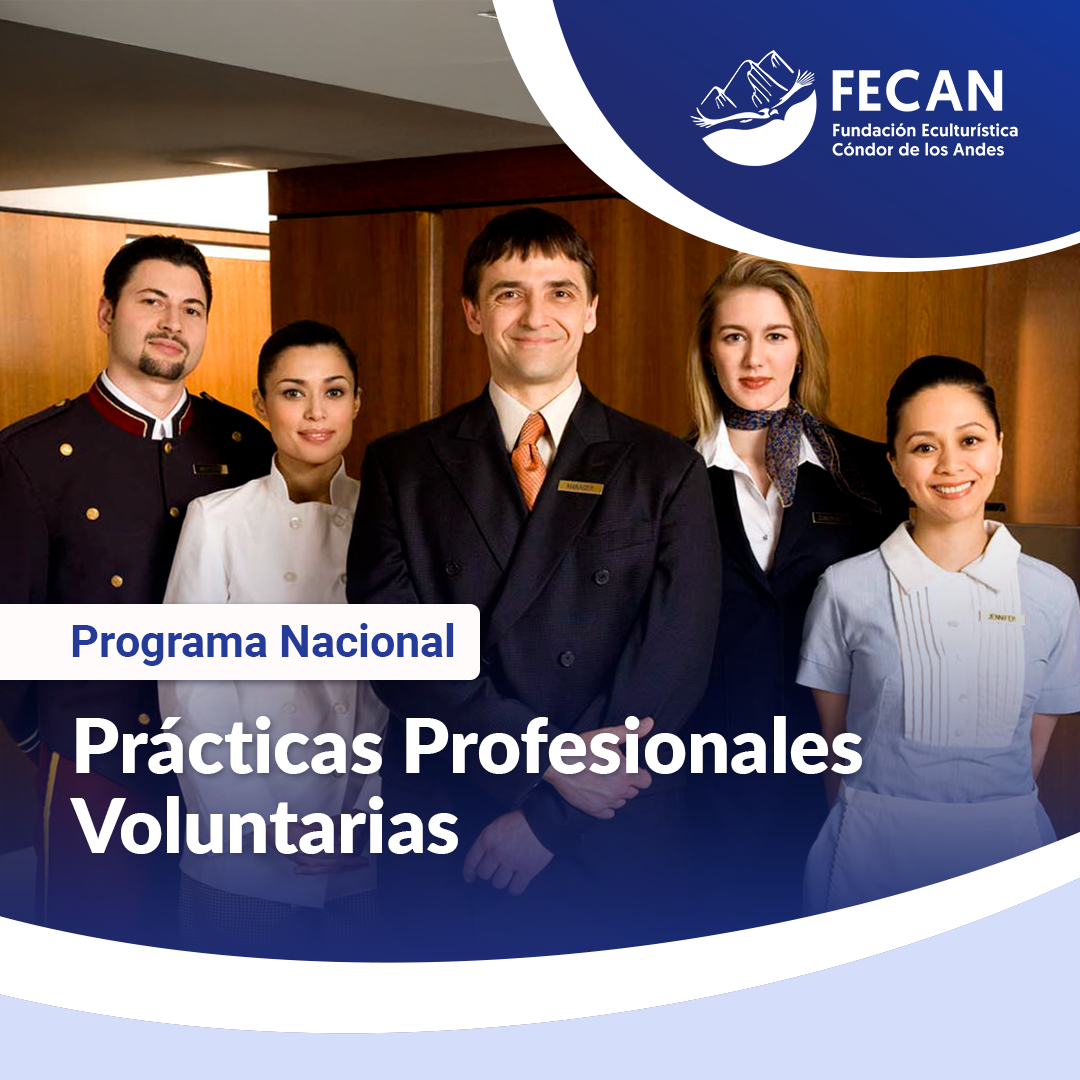 PN- PRÁCTICAS PROFESIONALES V