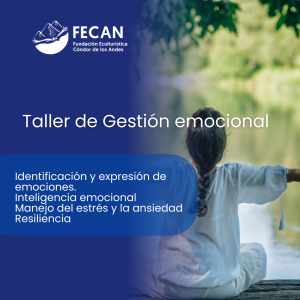 gestion emocional