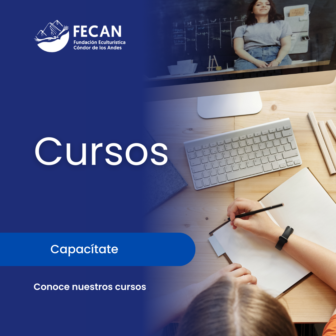 cursos de capacitación