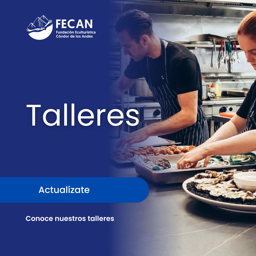 talleres