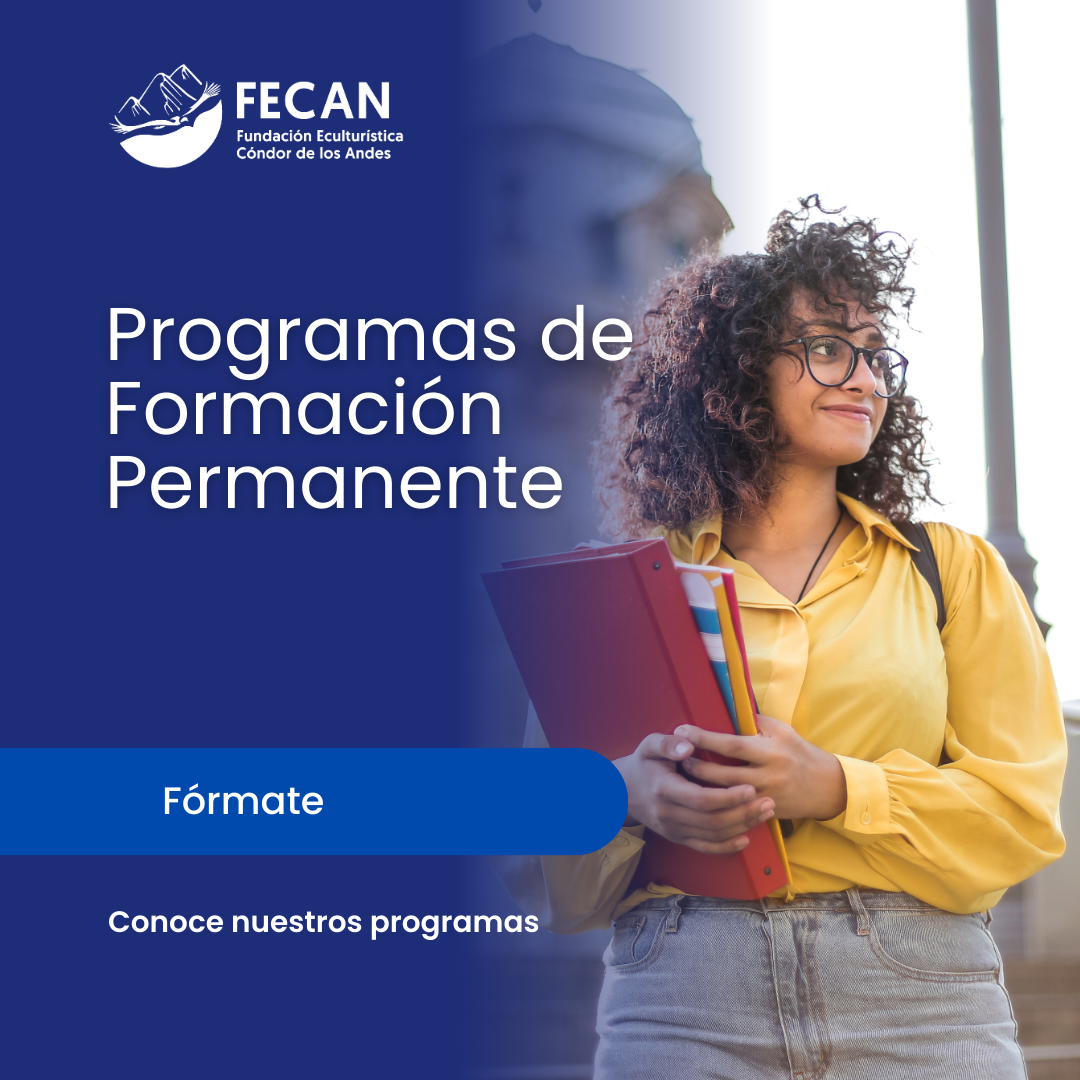 programas de formación permanente